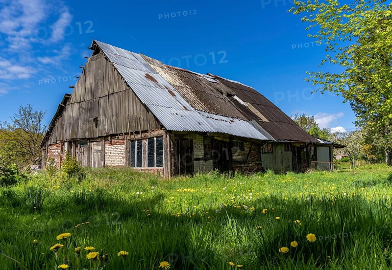 Abandoned and derelict farmhouses on undeveloped land in Rügen, Mecklenburg-Vorpommern, Germany, Europe
