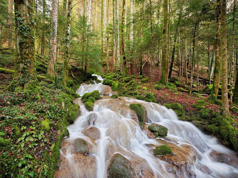 Waterfall with moss-covered rocks, Sihlsprung, Menzingen, Canton Zug, Switzerland, Europe