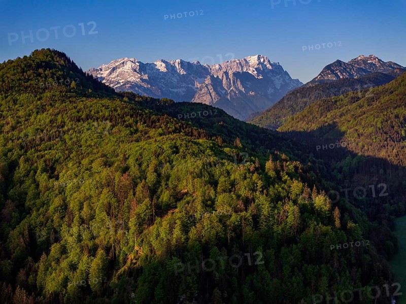 Aerial view, trees, forest, light green leaves, morning light, mountains, sunny, spring, near Murnau, Zugspitze, Wetterstein range, foothills of the Alps, Bavaria, Germany, Europe
