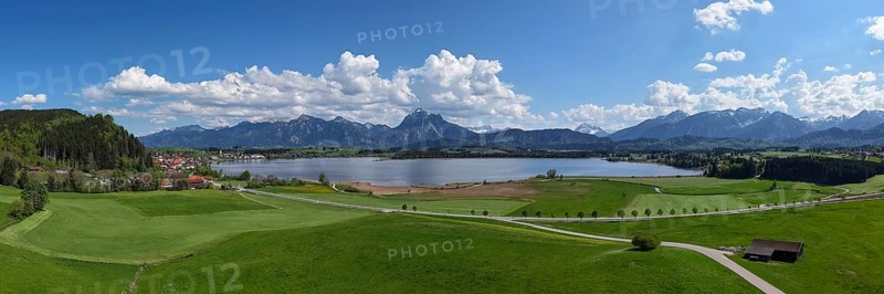 Expansive landscape with a view of Lake Hopfensee and mountains, surrounded by green meadows and a blue sky with clouds, Alps, Hopfen am See near Füssen, Ostallgäu, Allgäu, Bavaria, Germany, Europe