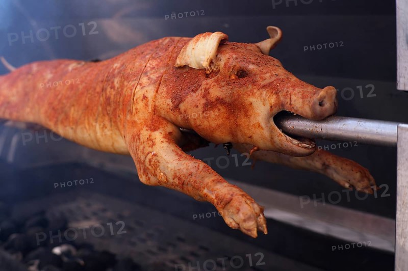 Suckling pig, pork, roasted on a spit, charcoal, Stuttgart, Baden-Württemberg, Germany, Europe