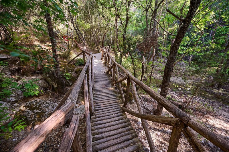 Wooden bridge leads through a quiet, wooded path, Butterfly Valley, Butterfly Valley, Rhodes, Dodecanese, Greek Islands, Greece, Europe