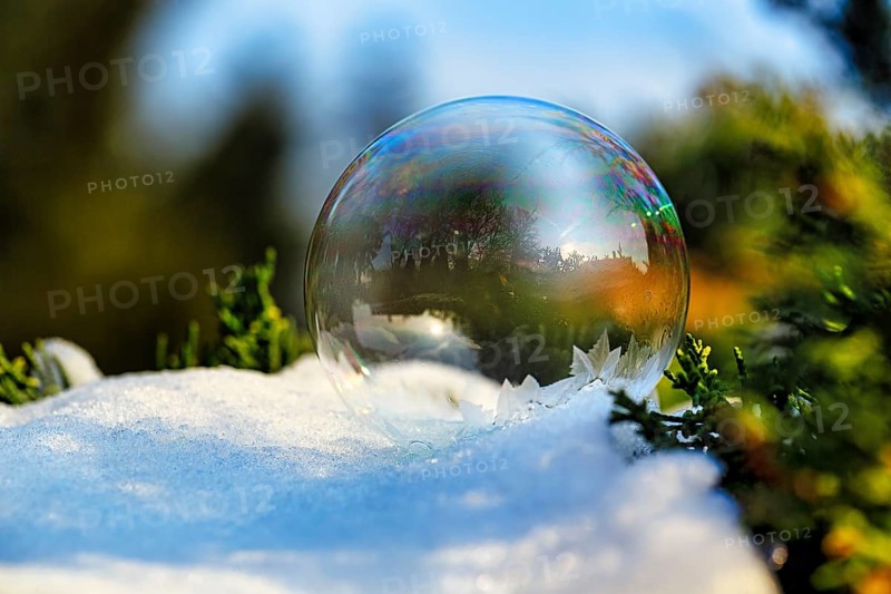 Freezing soap bubble in the snow, frost in the garden, ice crystals, cold winter weather, winter sun, Höxter, Weserbergland, Germany, Europe