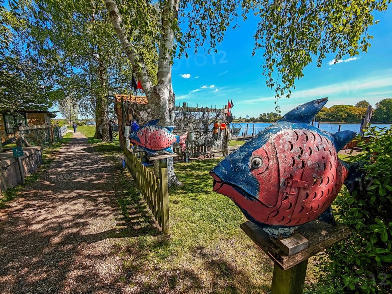 View of the Schlei Fjord from the beach path, art, colourful fish, fishing nets, wooden fence, birch, sunshine, blue sky, Arnis, landscape fishing, Schleswig-Holstein, Germany, Europe