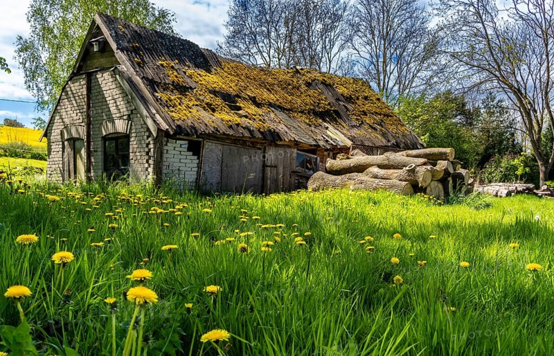 Abandoned and derelict farmhouses on undeveloped land in Rügen, Mecklenburg-Vorpommern, Germany, Europe