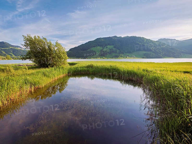 Reservoir, Sihlsee, Euthal, Canton Schwyz, Switzerland, Europe