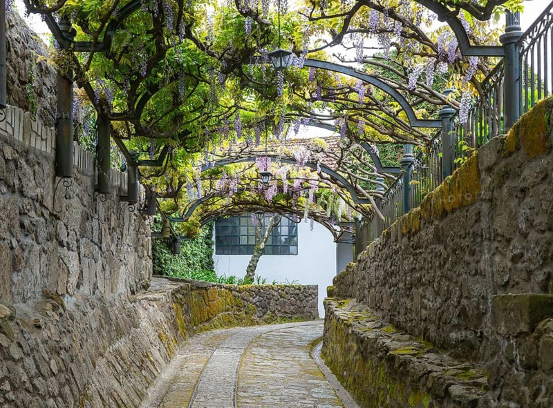 Old rail track path leading to Taylor's port lodge, Vila Nova de Gaia, Porto, Portugal, Europe