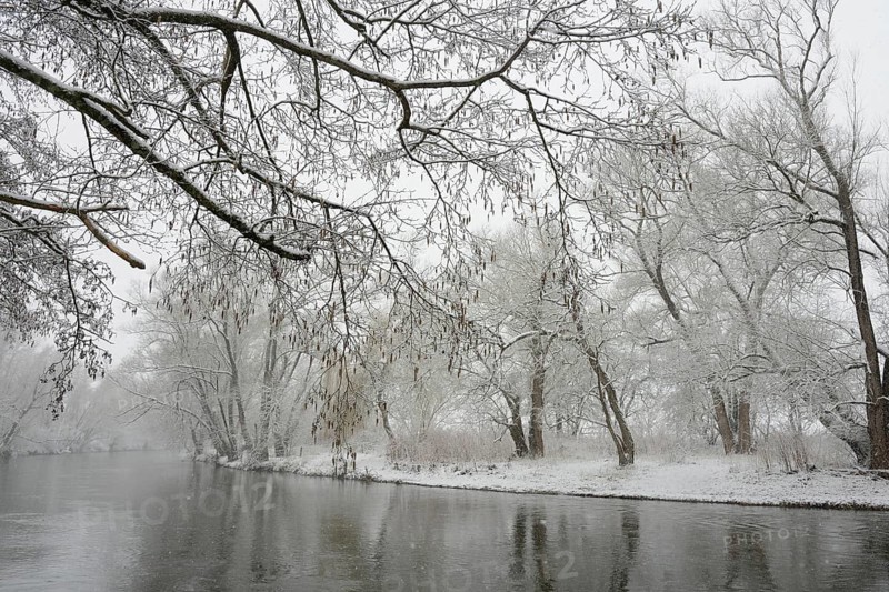 Winter landscape by a river, willows (Salix) and alders (Alnus) on the bank in dense snowfall, North Rhine-Westphalia, Germany, Europe