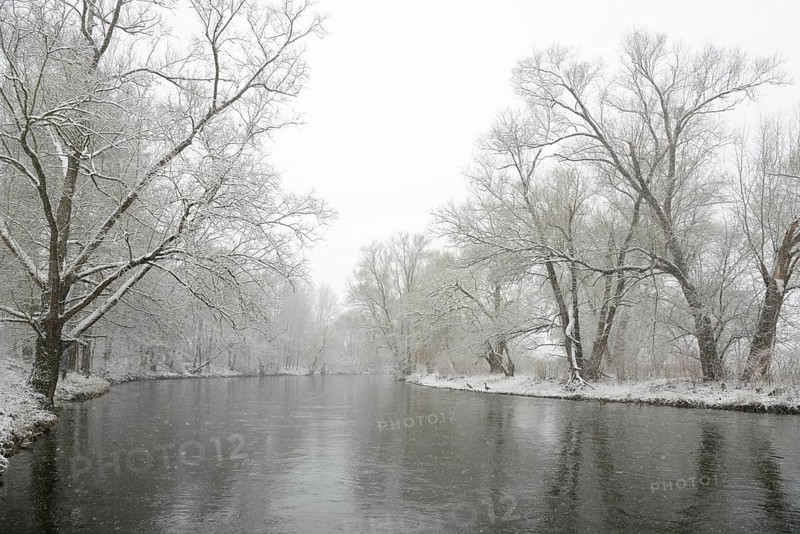 Winter landscape by a river, willows (Salix) on the bank in heavy snowfall, North Rhine-Westphalia, Germany, Europe