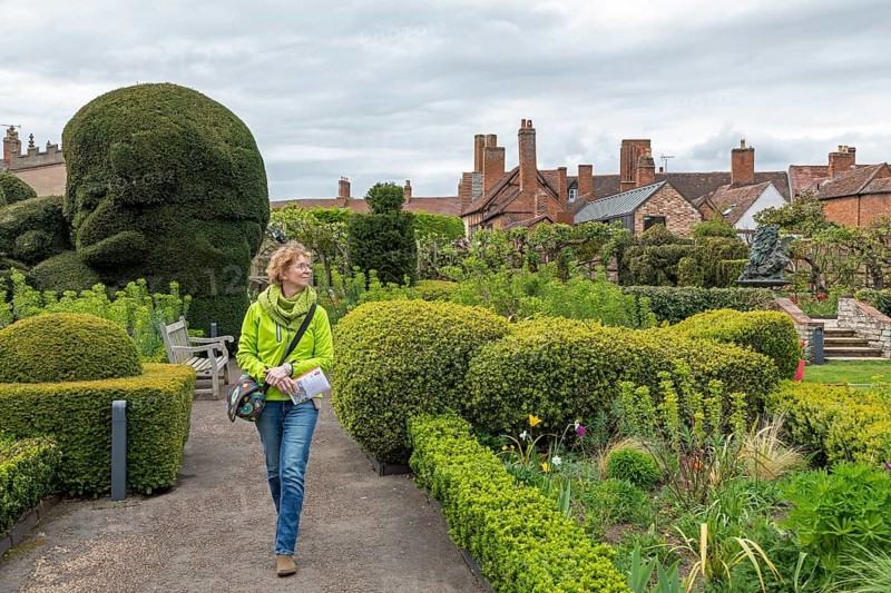 Visitor, garden, Shakespeare's New Place, where his house stood until 1759, Stratford-upon-Avon, England, Great Britain