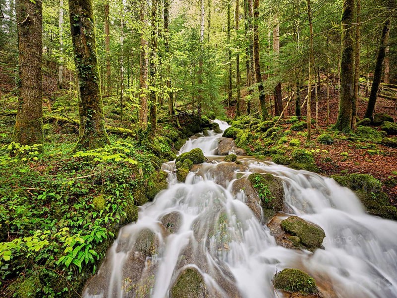 Waterfall with moss-covered rocks, Sihlsprung, Menzingen, Canton Zug, Switzerland, Europe