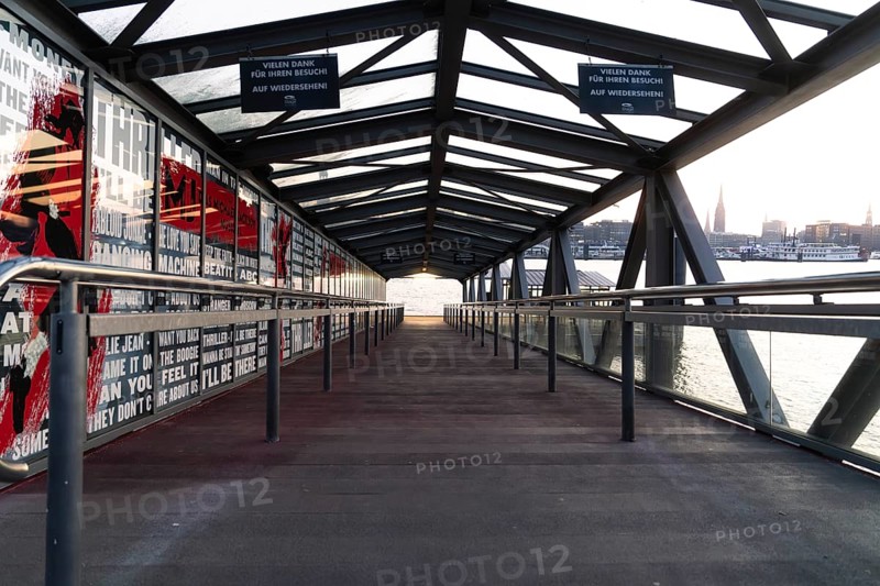 Glass-roofed bridge with a view of the city in the background, The Lion King, Hamburg, Germany, Europe