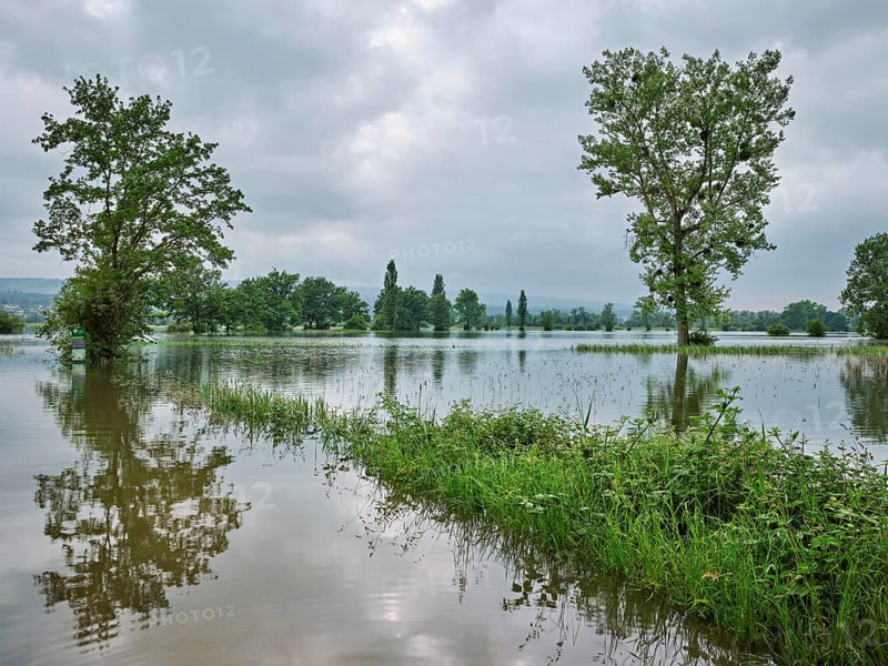 Trees standing in the flooded river Lorze, floodplain landscape, Reussspitz nature reserve, Maschwanden, Canton Zurich, Switzerland, Europe