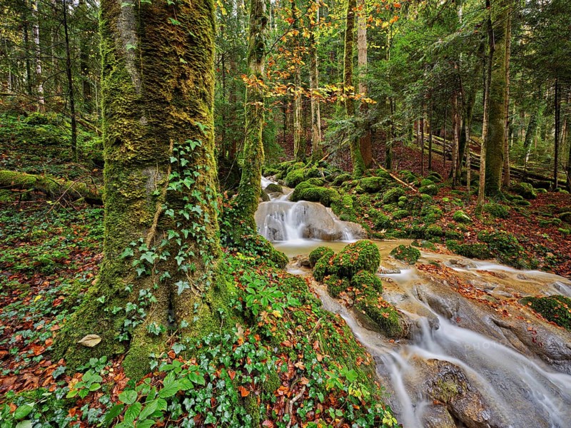 Waterfall surrounded by moss-covered stones in autumnal coloured surroundings, on the river Sihl, Sihlsprung, Menzingen, Canton Zug, Switzerland, Europe