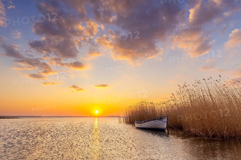 Rowing boat, rowboat along reed bed at sunset near Warthe, Rankwitz at the Lieper Winkel on the island of Usedom, Mecklenburg-Vorpommern, Germany, Europe