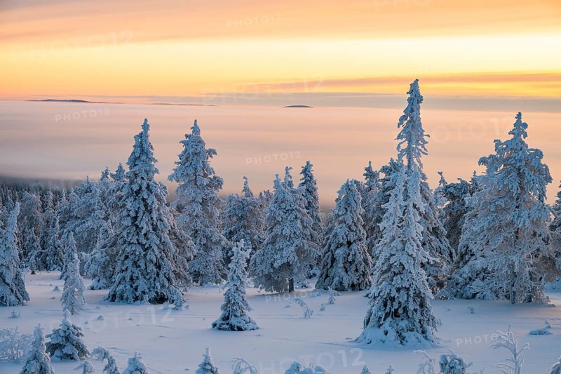 Winter landscape, Riisitunturi National Park, Posio, Lapland, Finland, Europe