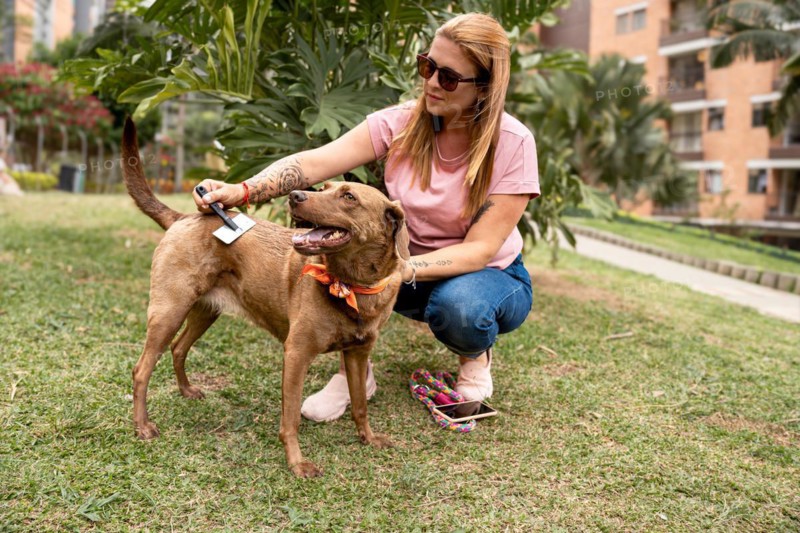 A middle-aged woman wearing sunglasses brushes her dog, enjoying a break in the park