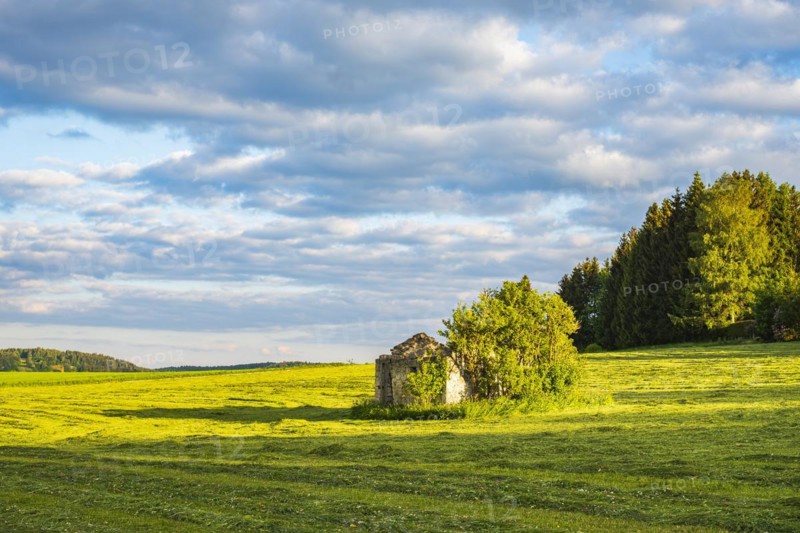 Dilapidated ruin of a stone hut on a freshly mown meadow in the evening light, Swabian Alb, Münsingen, Baden-Württemberg, Germany, Europe