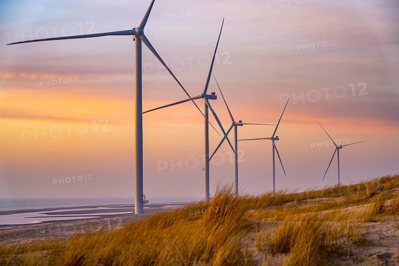 ENECO wind farm on the dike around the harbour Maasvlakte 2, 22 wind turbines with a capacity of 116 megawatts, sunset, Rotterdam, Netherlands