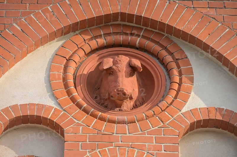 Pig's head, sculpture in old building, Alter Schlachthof development area, Landsberger Allee, Prenzlauer Berg, Pankow, Berlin, Germany, Europe