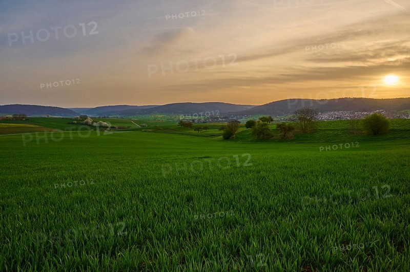 Green meadow in hilly landscape at sunrise with soft clouds in the sky, Mönchberg, Mltenberg, Spessart, Bavaria, Germany, Europe