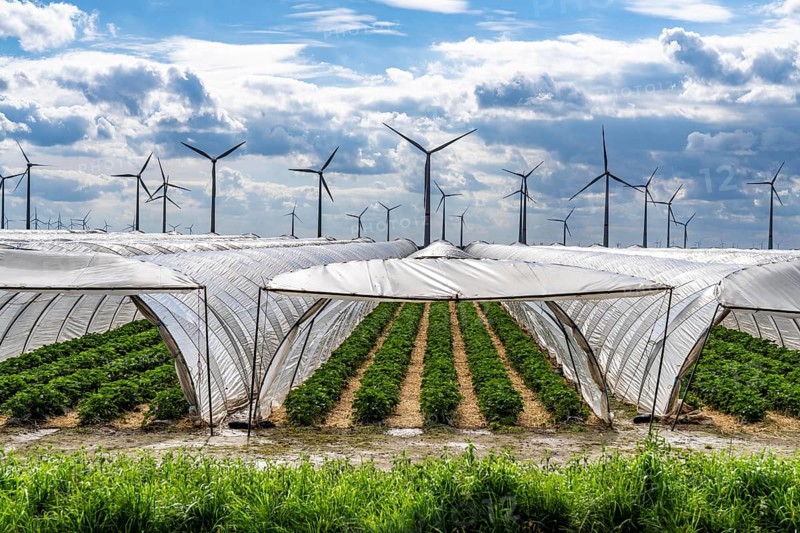 Agriculture, large areas with foil tunnels, for the cultivation of strawberries, wind farm, south of Lövenich, belongs to Erkelenz, in the district of Heinsberg, North Rhine-Westphalia, Germany, Europe