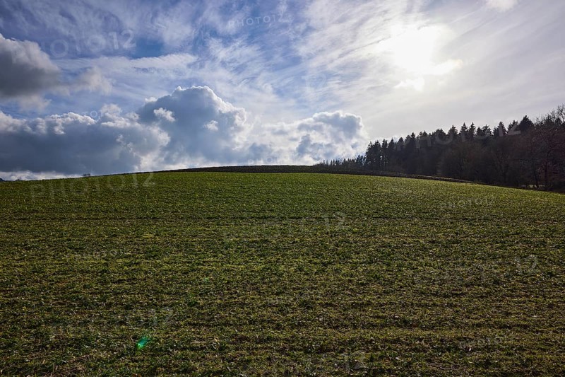 Agriculture, field, coniferous forest, blue sky, cumulus clouds, cirrostratus clouds, backlight, Dreis-Brück, Eifel, Vulkaneifel district, Rhineland-Palatinate, Germany, Europe