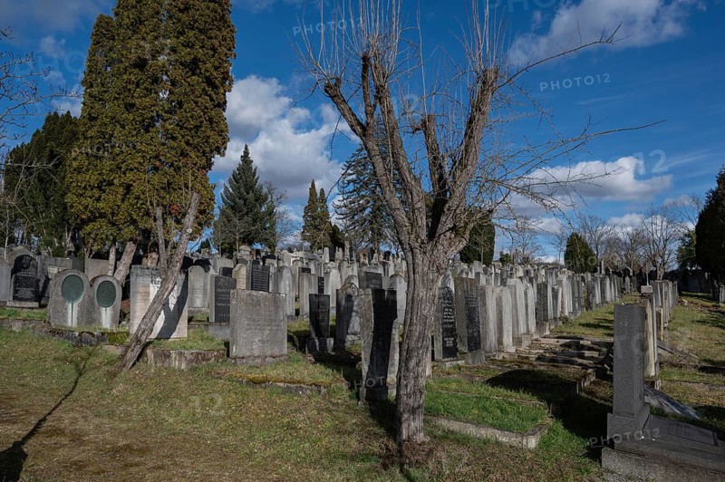 Old graves at the Israeli cemetery, inaugurated in 1882, Werner-von Siemens Str. 2, Würzburg, Lower Franconia, Bavaria, Germany, Europe