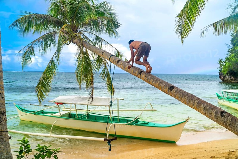 Tourist climbing a leaning palm tree over a tropical beach with traditional outrigger boats on kangbangyo island, siargao, philippines