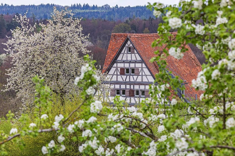 Historic village buildings. Half-timbered farmhouse in the open-air museum on the Swabian Alb. Beuren, Baden-Württemberg, Germany, Europe