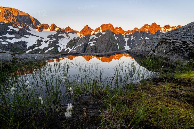Rocky mountain peaks with reflection, small pond with cotton grass in moor landscape at Trollfjord Hytta, mountain landscape with alpenglow at sunrise, at Trollfjord, Lofoten and Vesterålen, Nordland, Norway, Europe