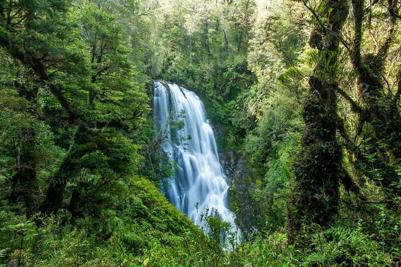 Waterfall in the jungle, Pumalin-Douglas Tompkins National Park, Chaiten, Los Lagos region, Patagonia, Chile, South America