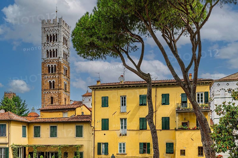 Winding houses with pastel-coloured facades, behind the tower of San Martino Cathedral, historic city centre, Lucca, Tuscany, Italy, Europe