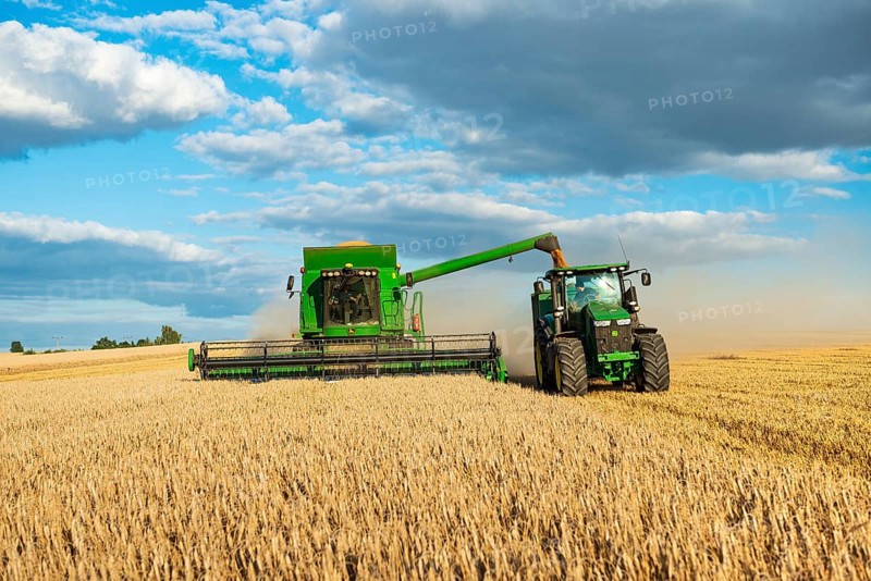 Combine harvester harvesting wheat and unloading grain onto tractor with trailer, endless cornfield, blue sky with cumulus clouds, Saalekreis, Saxony-Anhalt, Germany, Europe