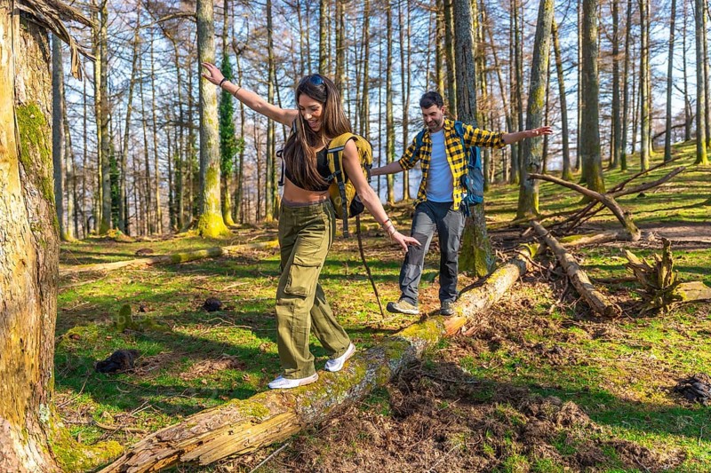 Hikers with backpacks carefully balancing on a fallen tree trunk while enjoying a hike through a sunny forest