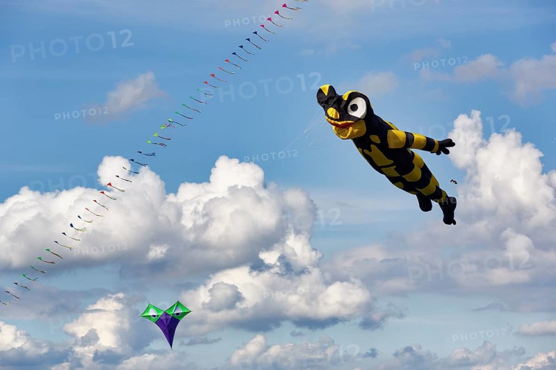Kite, Salamander flies in the sky, Cirrus, Cumulus, kite festival in Vinsebeck, Steinheim, Eggegebirge and southern Teutoburg Forest nature park Park, Weserbergland, North Rhine-Westphalia, Germany, Europe