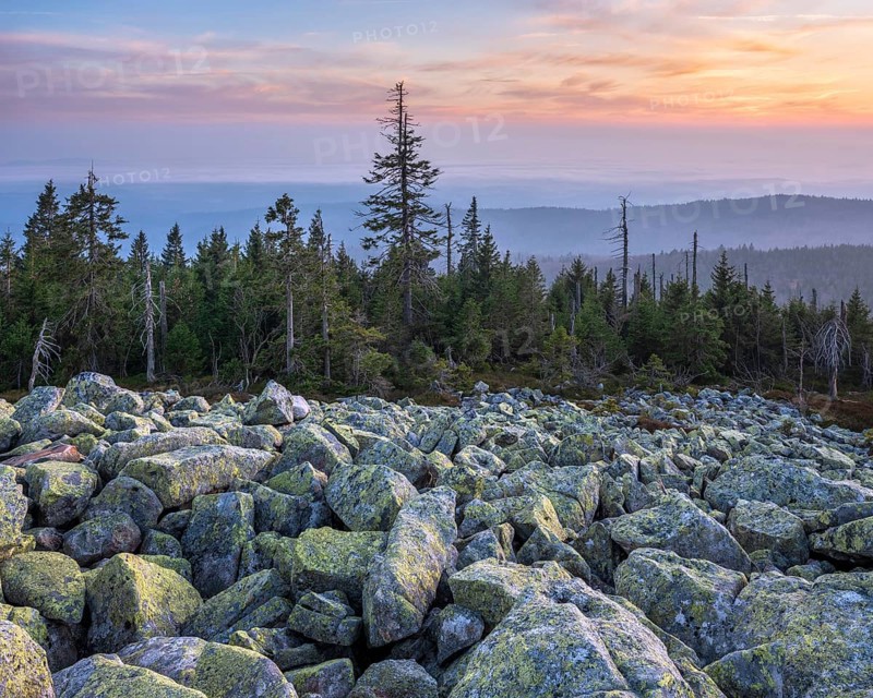 View from the Lusen with Blockmeer at dusk, Bavarian Forest National Park, Lower Bavaria, Bavaria, Germany, Europe
