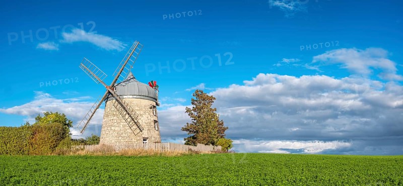 Green field with windmill under blue sky, mill, tower windmill, Tultewitz, Saxony-Anhalt, Germany, Europe