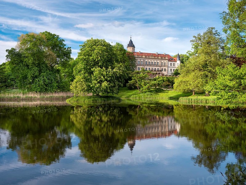 Wiesenburg Castle and Park, reflection in the lake, English landscape park, Wiesenburg, Hoher Fläming nature park Park, Brandenburg, Germany, Europe