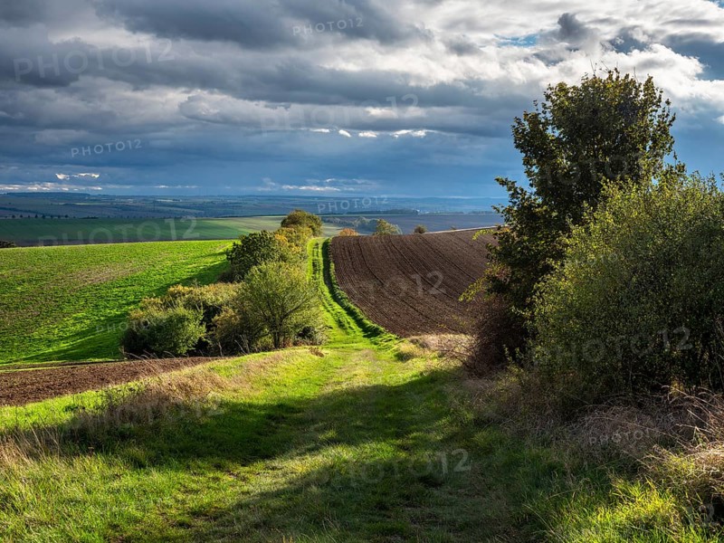 Field path through field landscape in the evening light, battlefield of 1806, Battle of Jena and Auerstedt, Thuringia, Germany, Europe