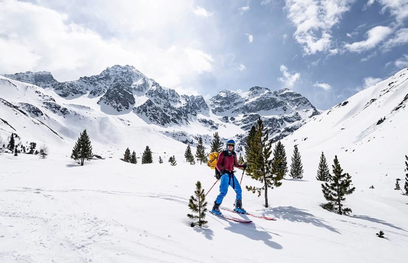 Skiers on the descent to Preda between small conifers, picturesque mountain landscape in winter with mountain peaks Piz d'Alp Val and Piz Bial, Bündner Haute Route, Albula Alps, Rhaetian Alps, Grisons, Eastern Switzerland, Switzerland, Europe