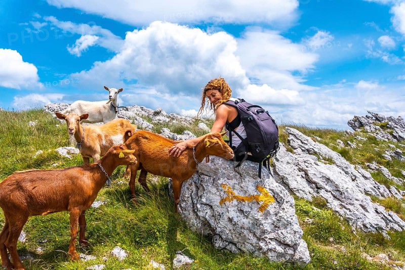 Mount Aizkorri 1523 meters, the highest in Guipúzcoa. Basque Country. Ascent through San Adrián and return through the Oltza fields. A young hiker next to some goats on top