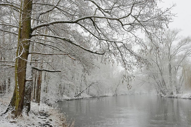 Winter landscape by a river, willows (Salix) and alders (Alnus) on the bank in dense snowfall, North Rhine-Westphalia, Germany, Europe