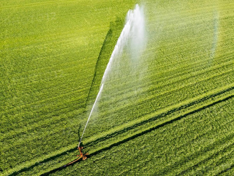 Artificial irrigation of a cereal field in April, with a sprinkler system, long dry spell in spring makes this necessary for the young plants to grow well, Kerken, Lower Rhine, North Rhine-Westphalia, Germany, Europe