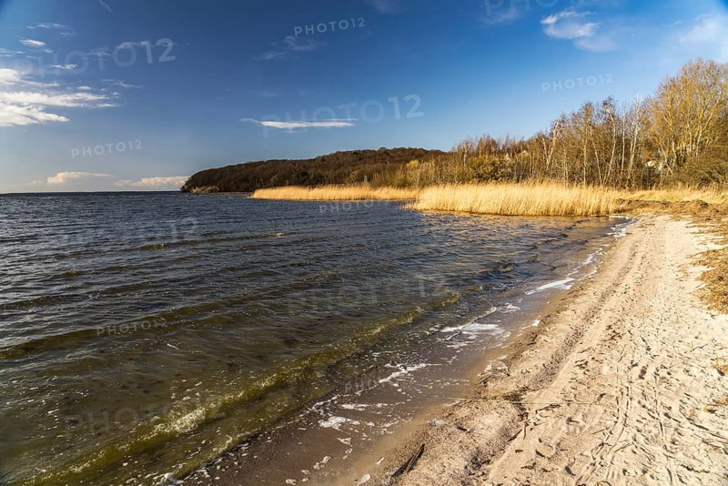 The beach at Lietzow on the Great Jasmund Bodden, Ruegen Island, Mecklenburg-Vorpommern, Germany, Europe