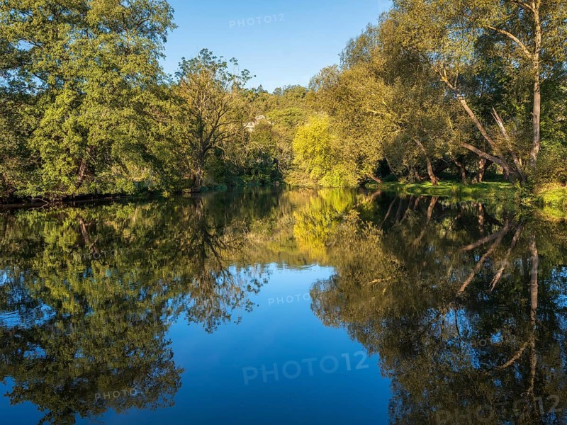 Trees reflected in the river Saale in the Saale valley not far from the Dornburg castles, Dornburg-Camburg, Thuringia, Germany, Europe