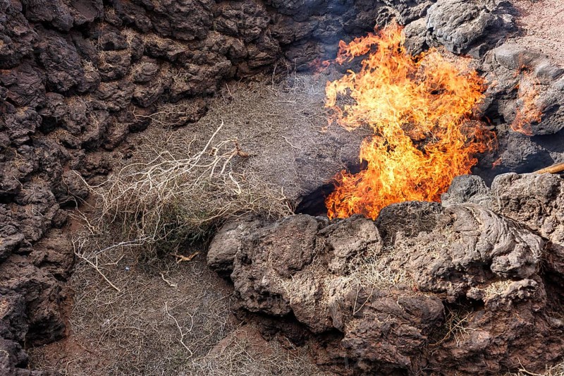 El Diablo, fire from the lava fissure, volcanic activity, demonstration for tourists, Fire Mountains of Timanfaya National Park, Montanas del Fuego, Lanzarote, Canary Islands, Spain, Europe