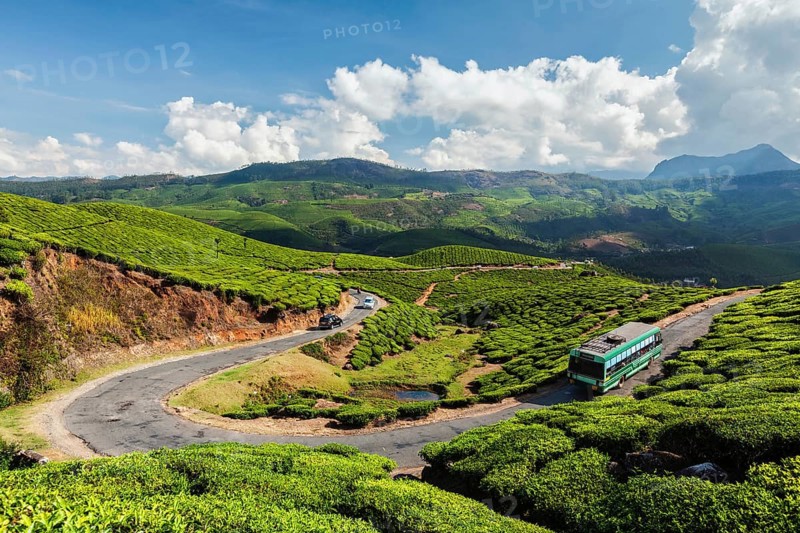 Passenger bus on road in tea plantations, Munnar, Kerala state, India, Asia