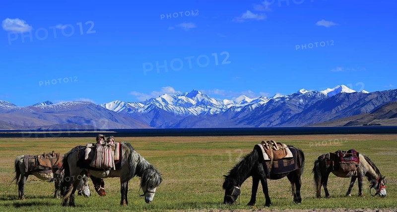 Tso Moriri