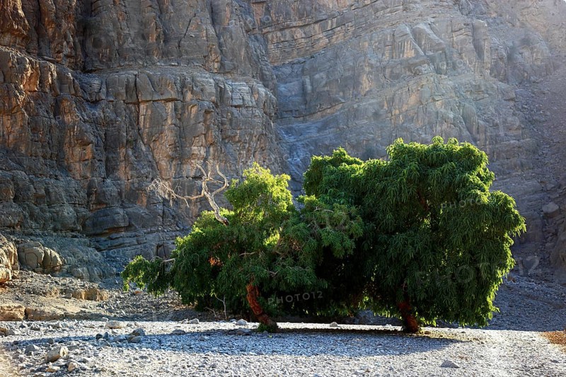 Landscape in the Jebel Harim area, in the Omani enclave of Musandam, Oman, Asia